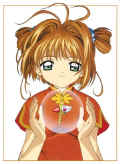 ccs245_small.jpg